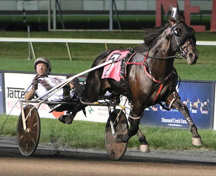 Best In Show winning the 2019 Meadowlands Pace